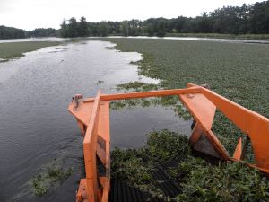 a piece of equipment removes invasive plant species